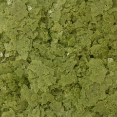 Formula Two Flake 34 GR