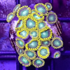 Frag zohantus 20 polipos 