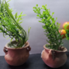 plantas plásticas chicas con vasija