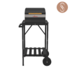 Parrilla Eléctrica Angus E360-E480