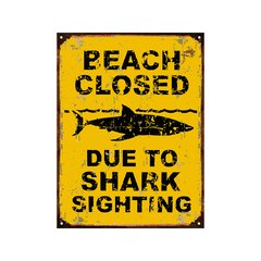 Beach closed surf