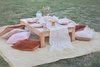 Picnic Time