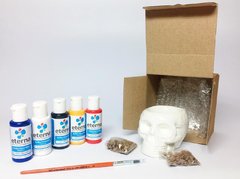 Kit pintura