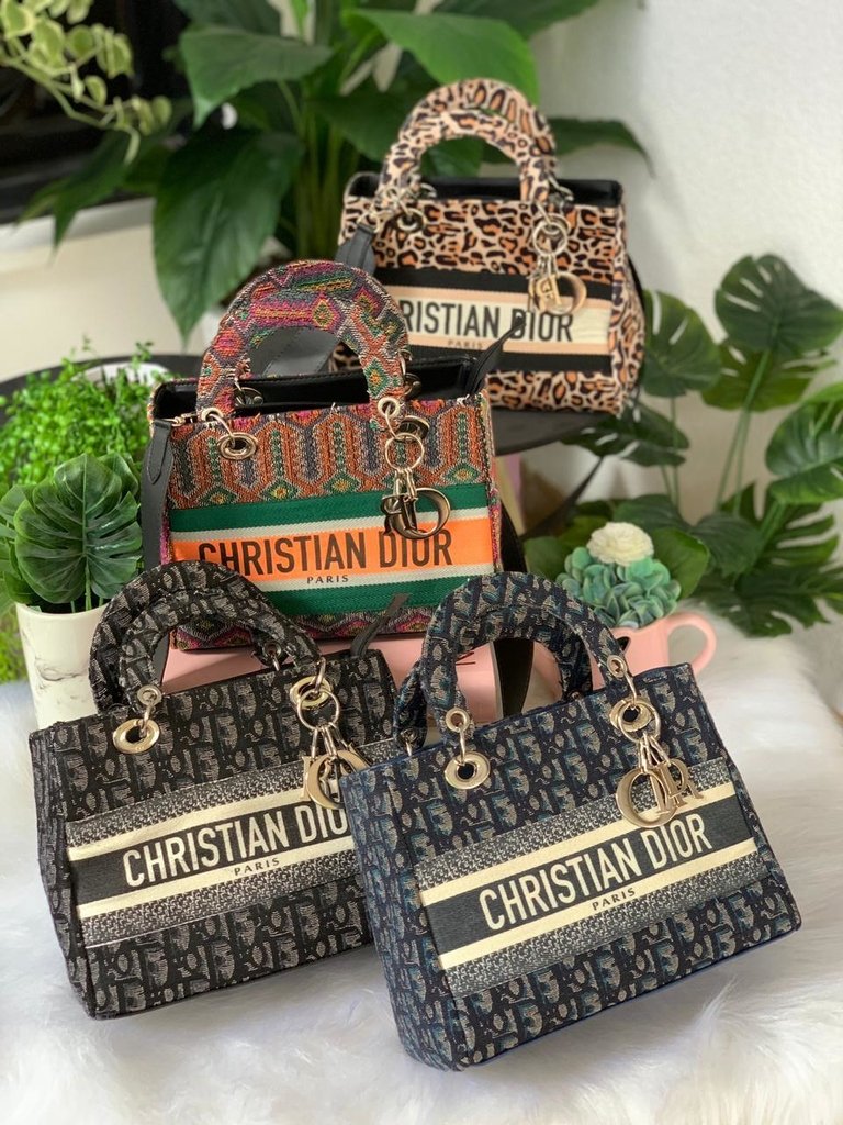 dior bolsa types