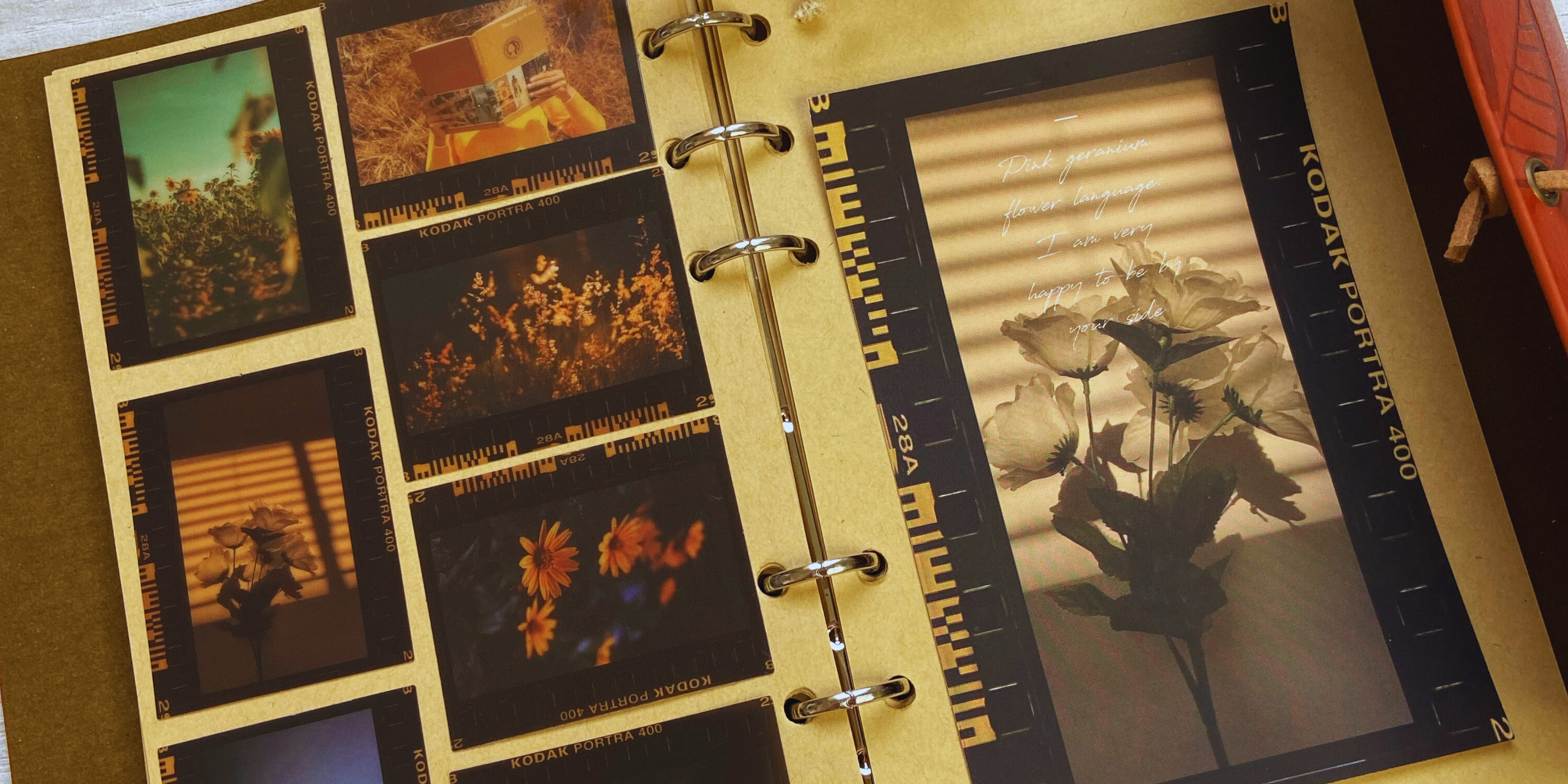 Scrapbook