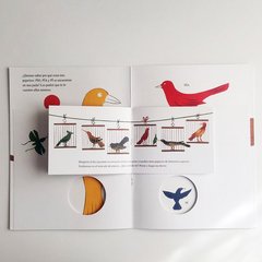 Historias de tres pajaritos en internet
