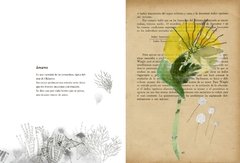 Vademécum de la flora naturalis imaginaria - comprar online