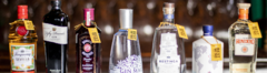 Banner de la categoría Gin