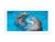 Filhotes de Golfinhos na Sea World (Quadro) - comprar online