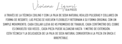 Banner de la categoría Viviana Liguori