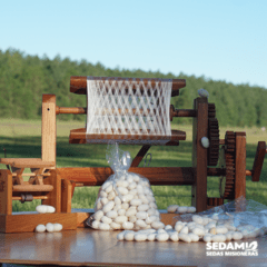 Capullos de Seda Seleccionados x1,5 Kg - SEDAMI