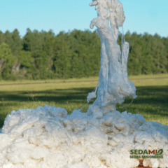 Schappé x 1Kg. (Vellon de Seda  color Natural)
