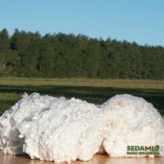 Schappé x 100grs. (Vellon de Seda  color Natural) - comprar online