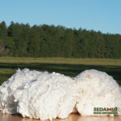 Schappé x 200grs. (Vellon de Seda  color Natural) - comprar online