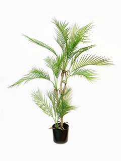 Planta Areca 130cm