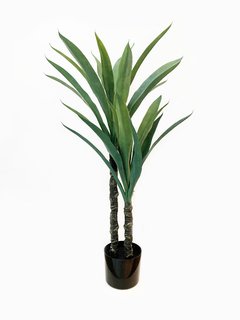 Planta Yuca 105cm
