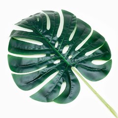 Hoja Monstera - comprar online