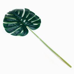 Hoja Monstera