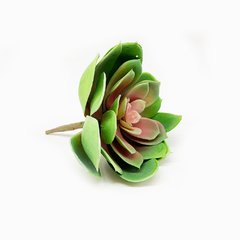 Suculenta 17cm - comprar online