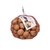 Nueces con cáscara orgánicas "Maelca" x 500 Grs