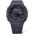 GA-2100CA-8A en internet