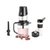 9112 PICADOR + LICUADORA LILIANA PICPLUS AM312 - comprar online