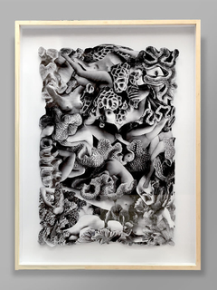 Universo Vertical. Juanito Jaureguiberry