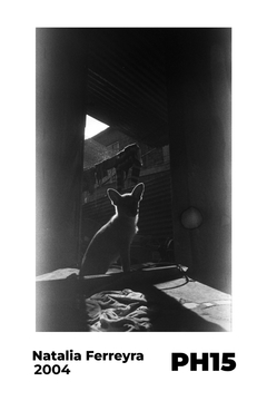 FOTO PH15