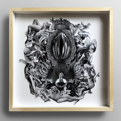Universo #4 Juanito Jaureguiberry