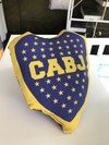 Almohadones Escudo Equipos