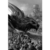 FUEGO Y SANGRE - Martin, George R.R.; Wheatley, Doug (il.)