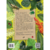 EL DIARIO DE PILAR EN AMAZONAS - Lins e Silva, Flávia; Penna, Joana (il.) - comprar online