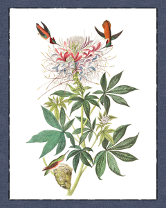 Natulareza Vintage en internet