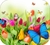 PAD MOUSE - tienda online