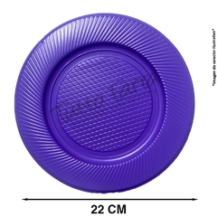 Plato Grandes Colores Surtidos X 10 en internet