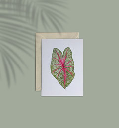 Cartão Caladium