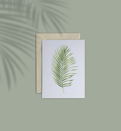 Cartão Palmeira Dypsis