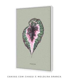 Quadro Decorativo Begonia Rex - Fundo Pistacchio - Flowersjuls - Quadros decorativos botânicos | Aquarelas autorais