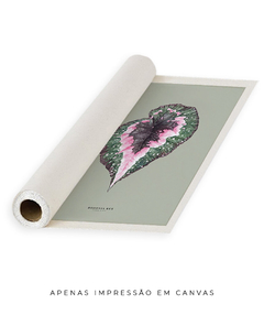 Quadro Decorativo Begonia Rex - Fundo Pistacchio