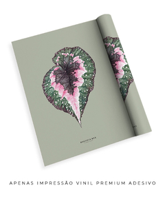 Quadro Decorativo Begonia Rex - Fundo Pistacchio - comprar online