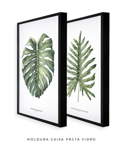 Quadro Decorativo Philodendron Guaimbé + Monstera - loja online