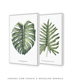 Imagem do Quadro Decorativo Philodendron Guaimbé + Monstera