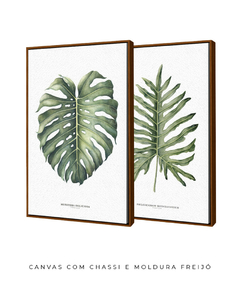 Quadro Decorativo Philodendron Guaimbé + Monstera - comprar online