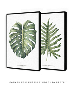 Quadro Decorativo Philodendron Guaimbé + Monstera na internet