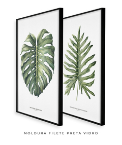 Imagem do Quadro Decorativo Philodendron Guaimbé + Monstera