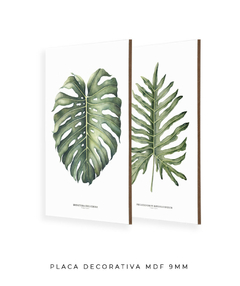 Quadro Decorativo Philodendron Guaimbé + Monstera