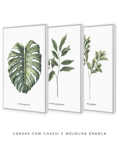 Trio Quadro Decorativo Galho Gardênia + Monstera + Oliveira