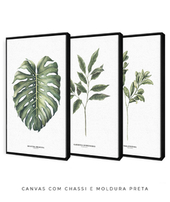 Trio Quadro Decorativo Galho Gardênia + Monstera + Oliveira - comprar online
