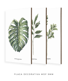 Trio Quadro Decorativo Galho Gardênia + Monstera + Oliveira - loja online