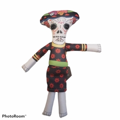 FRIDA KAHLO CON MUÑECA en internet